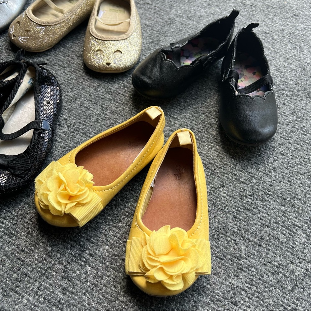 Assorted Ballet Flats Collection - Picture 3 of 9